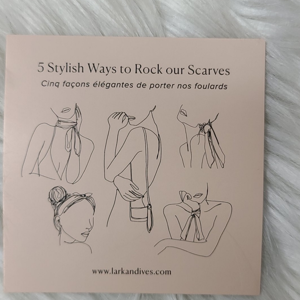 Scarf Set Hair Tie Purse Wrap Creme Pink Square Brand New 2-piece Spring Preppy - Picture 5 of 5